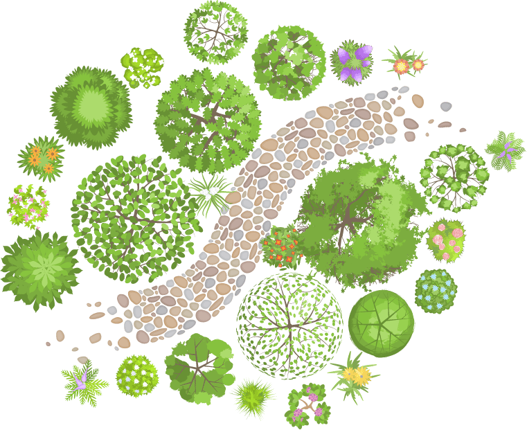 hedges and pathway art illustration
