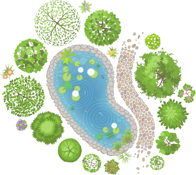 hedges pathway and pond art illustration